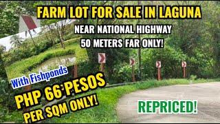 (PROPERTY#33) PHP 66 PESOS PER SQM ! FARM FOR SALE IN LAGUNA 50 METERS FAR FROM NATIONAL HIGHWAY !