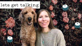 Tips for Beginners - Talking Pet Buttons  #aic #fluentpet #talkingdog #dogcare #dogcommunication