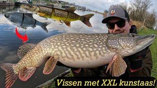 SNOEKVISSEN MET XXL KUNSTAAS VANAF DE KANT