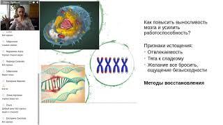 Питание для мозга