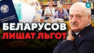 Заберут пособия / Электроника дорожает / Грибной бум // Новости Беларуси