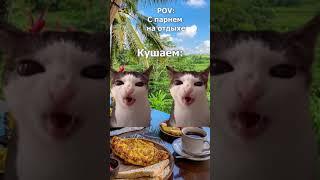 POV: С парнем на отдыхе #shorts #cat #прикол #travel #путешествия #смешныекотики #отдых #отпуск2024