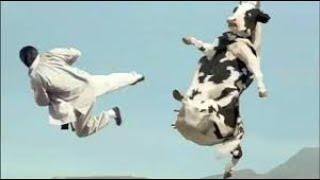 Драка:Джеки Чан против Коровы.Старое видео.Ностальгия.