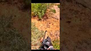 perfect target wild boar amazing hunting shot #hunter #in the forest #shots #hunting