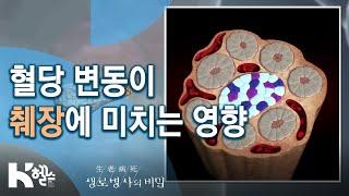 혈당 변동이 췌장에 미치는 영향 - 725회(20.02.05) 만성질환의 지름길 혈당 스파이크