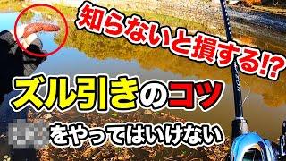 【バス釣り】ズル引きのやり方!!集中力を上げるアクションのコツや考え方t釣れない理由にについて解説してみた【カバースキャット】【カットスイング】