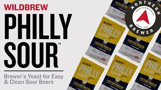 WildBrew Philly Sour™ | Yeast for Easy, Clean Sour Beers