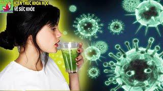 10 Thức uống tăng sức đề kháng cho hệ miễn dịch