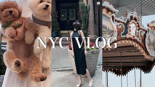 뉴욕 브이로그 | 부모님 & 새신랑과 함께 여행 | 뉴욕 로컬 비밀 명소 & 맛집 대공개 | 강아지와 뉴욕 여행
