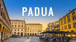 Padua Italy:  Best Things to do in Padua Italy in 2025