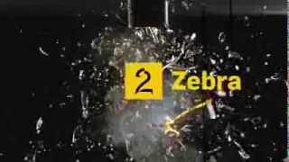 TV 2 Zebra ident 07