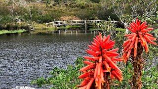 SILVERMINE DAM & RIVER WALK