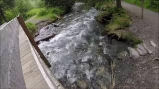 Trip to Alaska Day 9