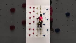 Speed Climbing Wall,playground climbing ramp,Indoor rock climbing,climbing wall set up,China factory