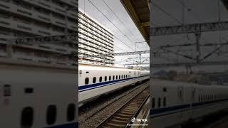 shinkanzen bullet tarin documentary video trailer #shorts