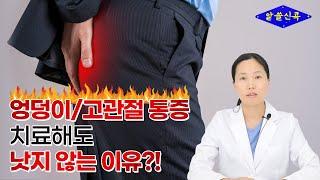 엉덩이(엉치), 고관절 통증 치료해도 낫지 않는 이유 (feat. 고관절만 치료 한다면 절대 효과 없습니다)(콕통증의학과 한예름 원장)