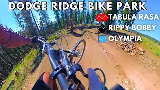 NEW(ish) Mountain Bike Park in California | TABULA RASA | RIPPY BOBBY | OLYMPIA| Dodge Ridge