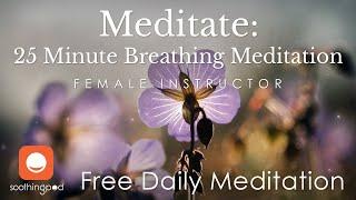 Breathing Meditation |  25 Minute Breath Meditation | Mindfulness Meditation for Stress and Anxiety