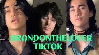 brandonthelOver tiktok compilation