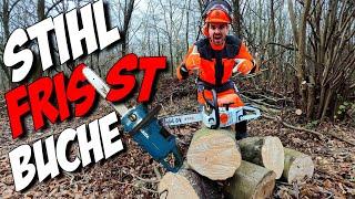 VOLLE ATTACKE! MS 241 & Makita UC011 greifen an! #firewood #brennholz  #stihl #makita #chainsaw