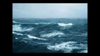 #Thunderstorm #Relaxing #Thunder    ️REAL SOUND OF NATURE-Blizzard,  #Waves & Thunderstorm ASMR