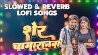 #New -lo-fi song sher chamranwa  #chamaran_song 2024 | Sher Chamaranwa lofi song | चमार जी के गाना
