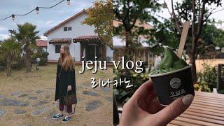 It's november and your first time in Jeju | 첫제주 여행, 브런치, 올레시장 먹방,오설록 박물관 | 初めての済州島