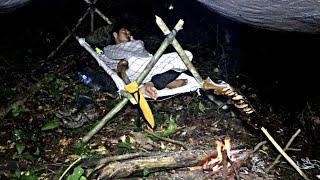 Solo camping dan mancing di hutan kalimantan panen ikan hasil mancing