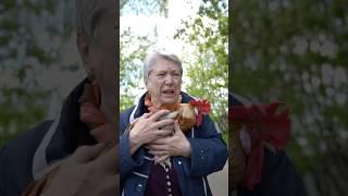 УКРАЛА ПЕТУХА Shorts