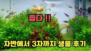 자반에서 3자까지 생물 후기(1/2)