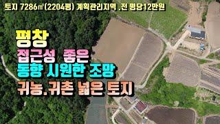 (평창군토지) 매번21-263 평창 대미산자락700고지넓은토지 평당12만원(평창 방림부동산)