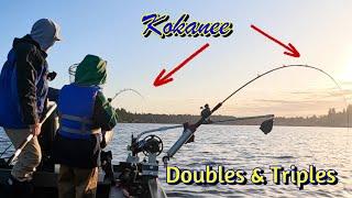 How-To Create Kokanee Chaos | Too Many Fish!