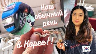 Наш обычный день в Корее/Мои украшения/Подарок из Сингапура/KOREA VLOG