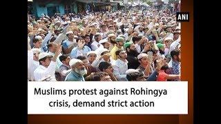 Muslims protest against Rohingya crisis, demand strict action - Andhra Pradesh News