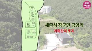 세종시 장군면 금암리 계획관리 토지, 카페추천용지, 2차선 접한 세종시 좋은 땅