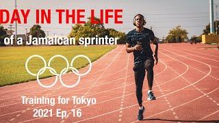 A Day In The Life of an Olympic Track and Field Sprinter