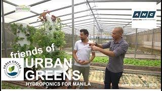 URBAN GREENS on ANC's GreenLivingTV with Paolo Abrera | Hydroponics Philippines