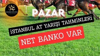 NET BANKOLU İSTANBUL AT YARIŞI TAHMİNLERİ (PAZAR)