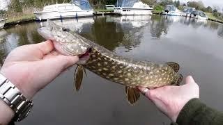 UK Canal Fishing - BFS Fishing with the Westin Shadteez