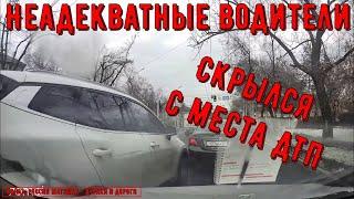 Неадекватные водители и хамы на дороге #742! Подборка на видеорегистратор!