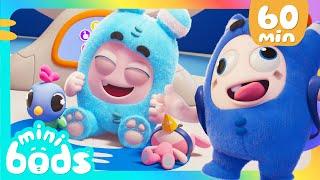 Cracked! | | Minibods | Rob the Robot & Friends - Funny Kids TV