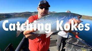 Catching Kokes With Mama Hog Fishing Rods