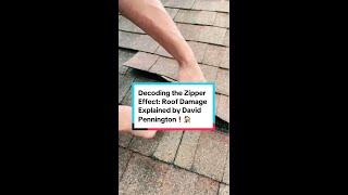 Decoding the Zipper Effect: Roof Shingle Damage Explained by David Pennington | Leak Busters Roofing