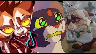 Warrior cats Tiktok Compilation// Ultimate // *NEW*//