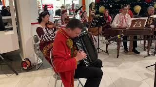 Alexander Dmitriev. Concert Moldavian folk melody