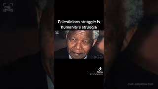 Palestinians struggle is humanity’s struggle