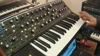 MOOG SUB 37 by ok1band Oleksij Kerekesha and  REASON 9