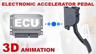 Electronic Accelerator (Throttle) Pedal – How Does It Work? 3D Animation