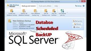 Automatically Multiple Databases Backup Every Hour | Microsoft SQL Server