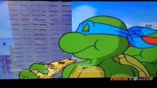 Nick 80's Turtles!